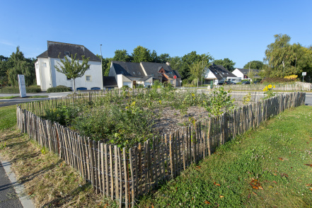 Image d'illustration pour : Projet n° 19 : Forêt urbaine