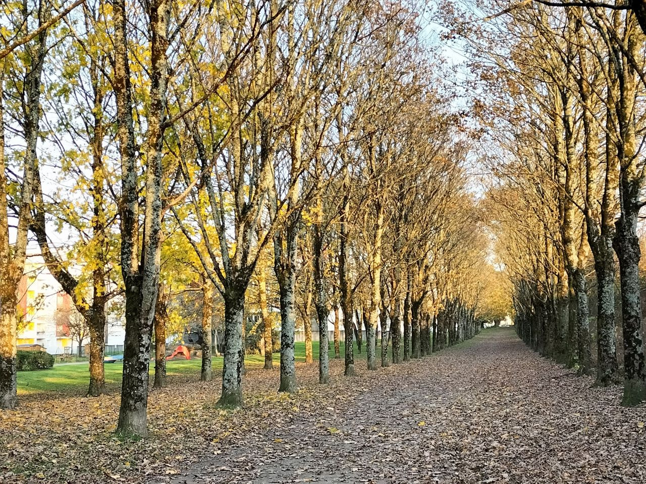 Image d'illustration pour : Installation d'un banc