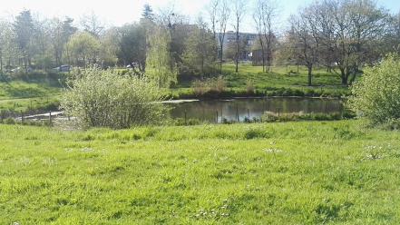 Image d'illustration pour : Pêcher aux vallons de Kercado !