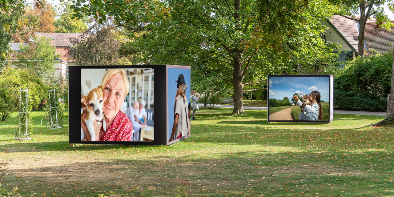Image d'illustration pour : Projet 23 : Exposition photos "Nature Domestique"